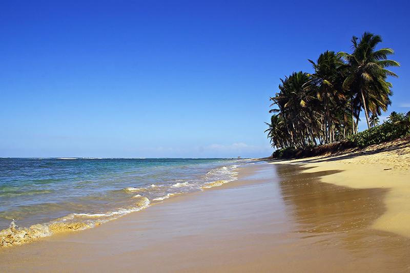  Playa Bavaro: The ultimate Caribbean getaway.